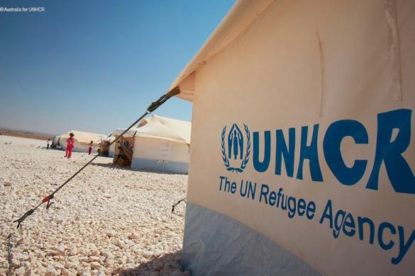 12 एम 2 ब्लू आपदा राहत तंबू संयुक्त राष्ट्र शरणार्थी तम्बू